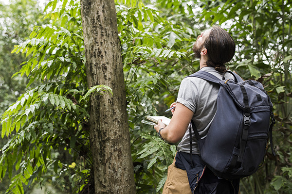 Turismo em Área de Proteção Ambiental